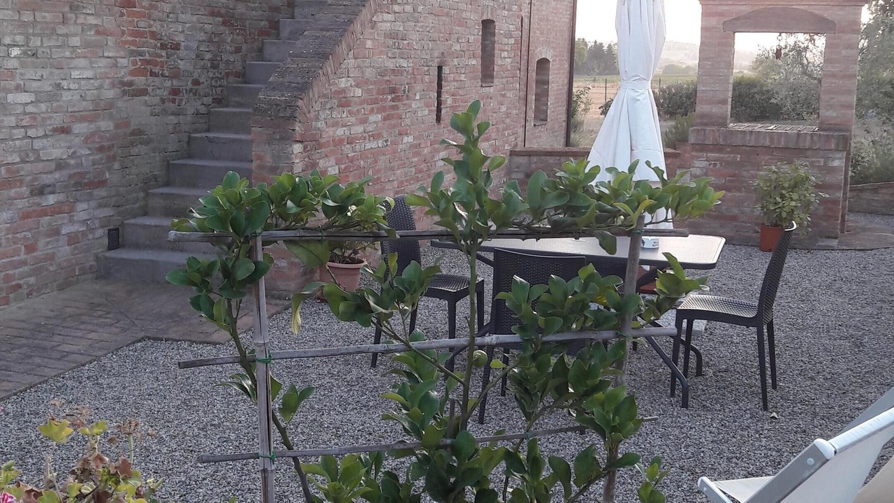 Photo of Outdoor in Monteroni d'Arbia
