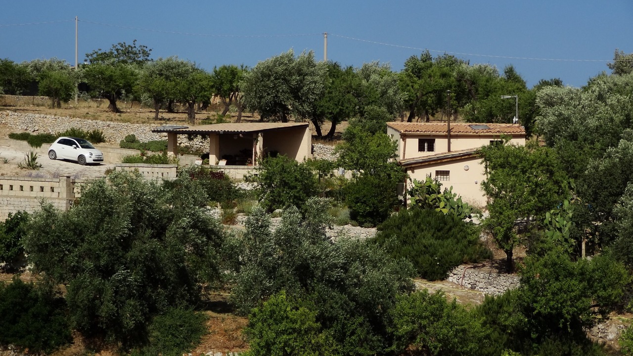 Photo of Outdoor in Avola