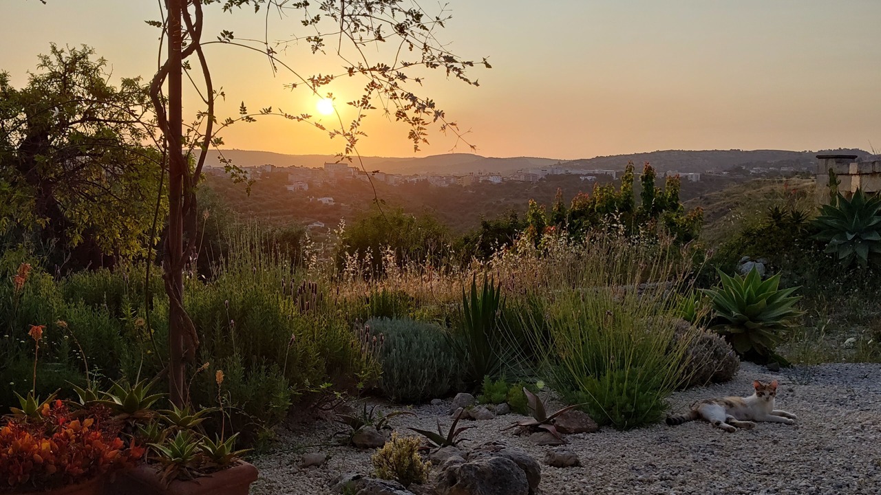 Photo of Outdoor in Avola