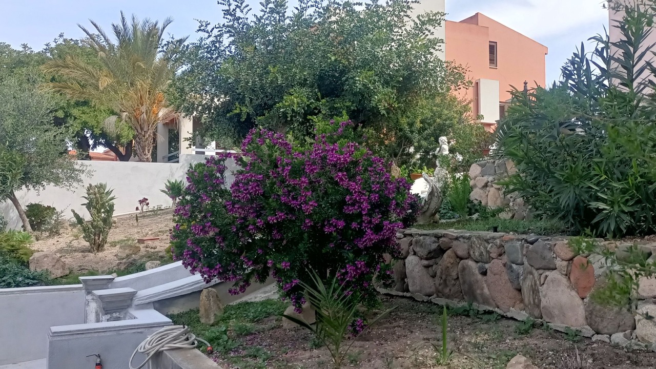 Photo of Outdoor in Quartu Sant'Elena