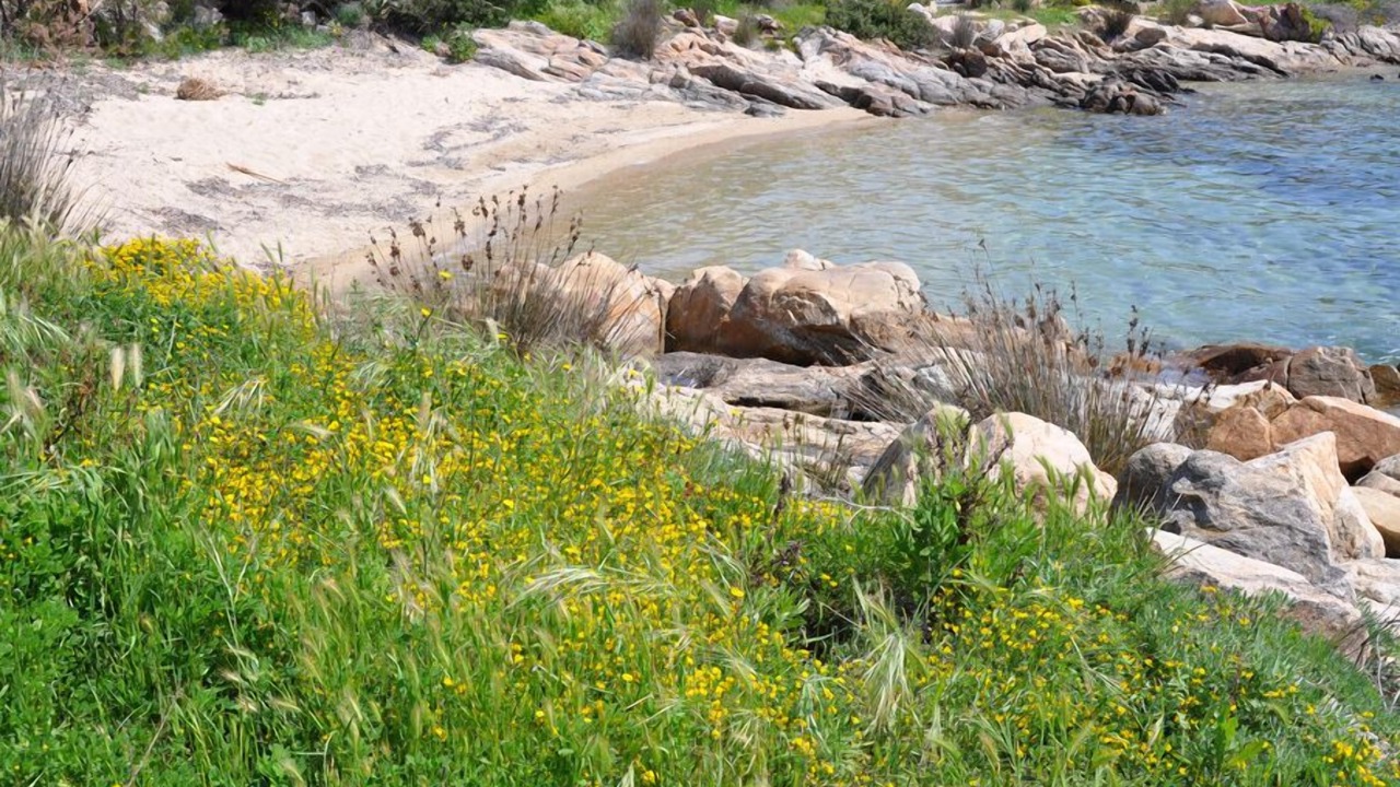 Photo of Others in Baia Caddinas