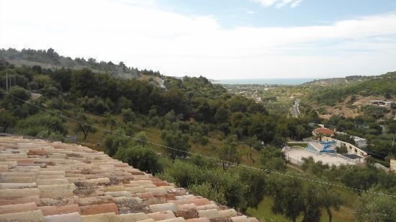 Photo of Others in Defensola