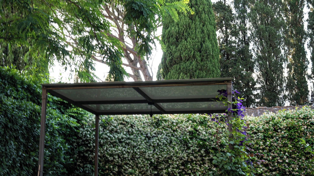 Photo of Outdoor in Siena
