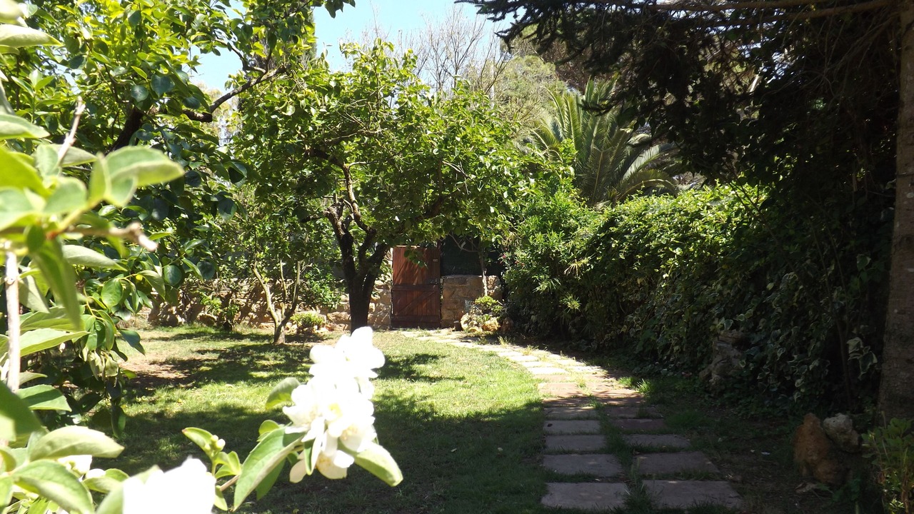 Photo of Outdoor in Alghero