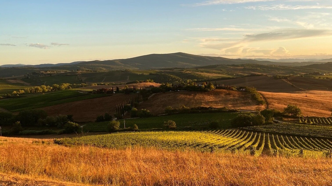 Photo of Outdoor in Castellina in Chianti