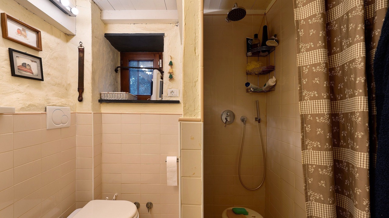 Photo of Bathroom in Avegno