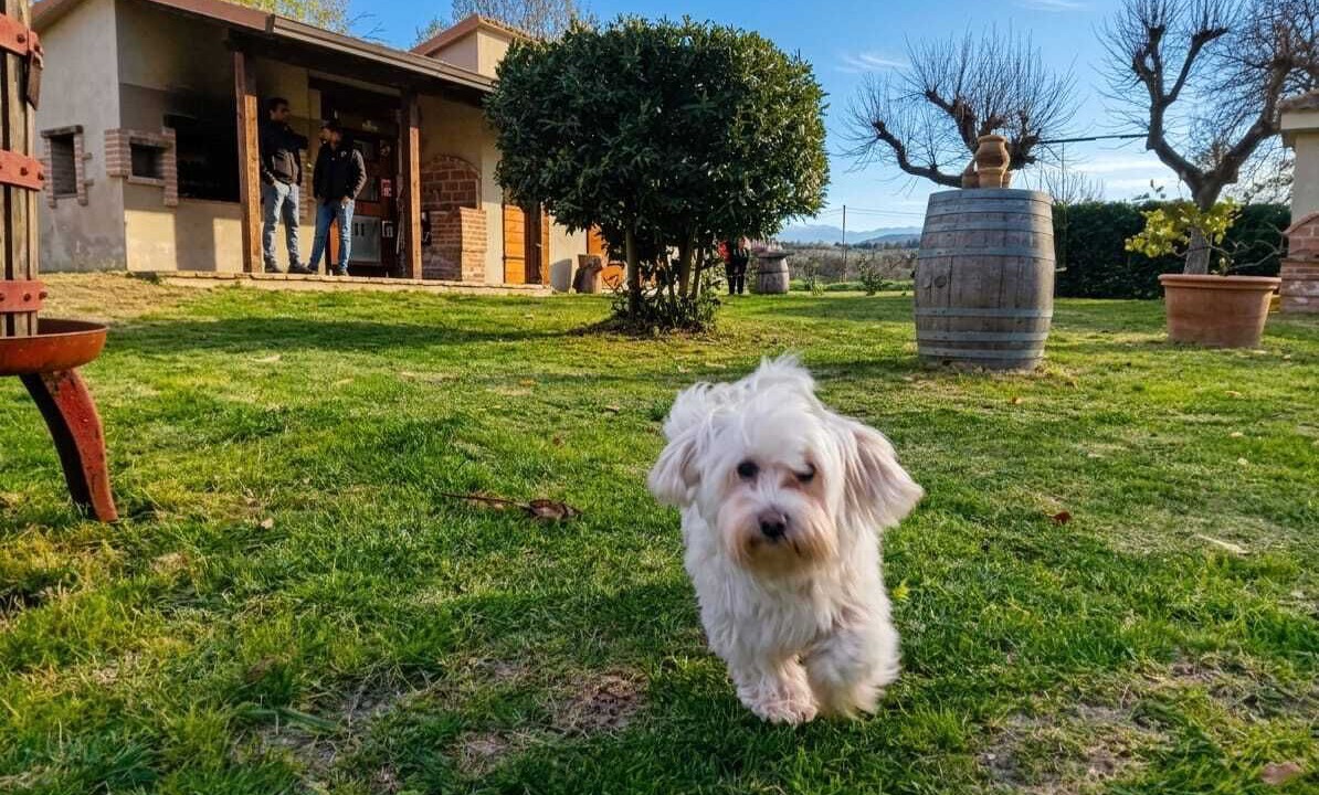 Photo of Outdoor in Castel Ritaldi