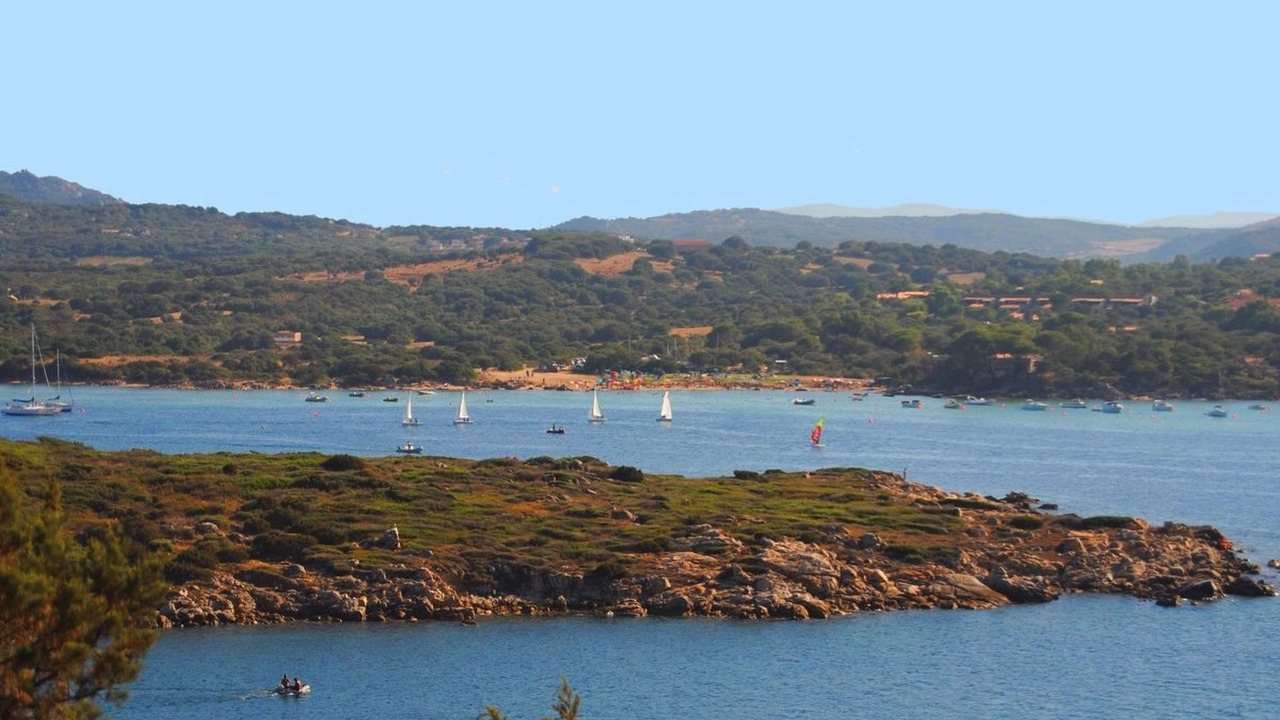Photo of Others in Porto Pollo