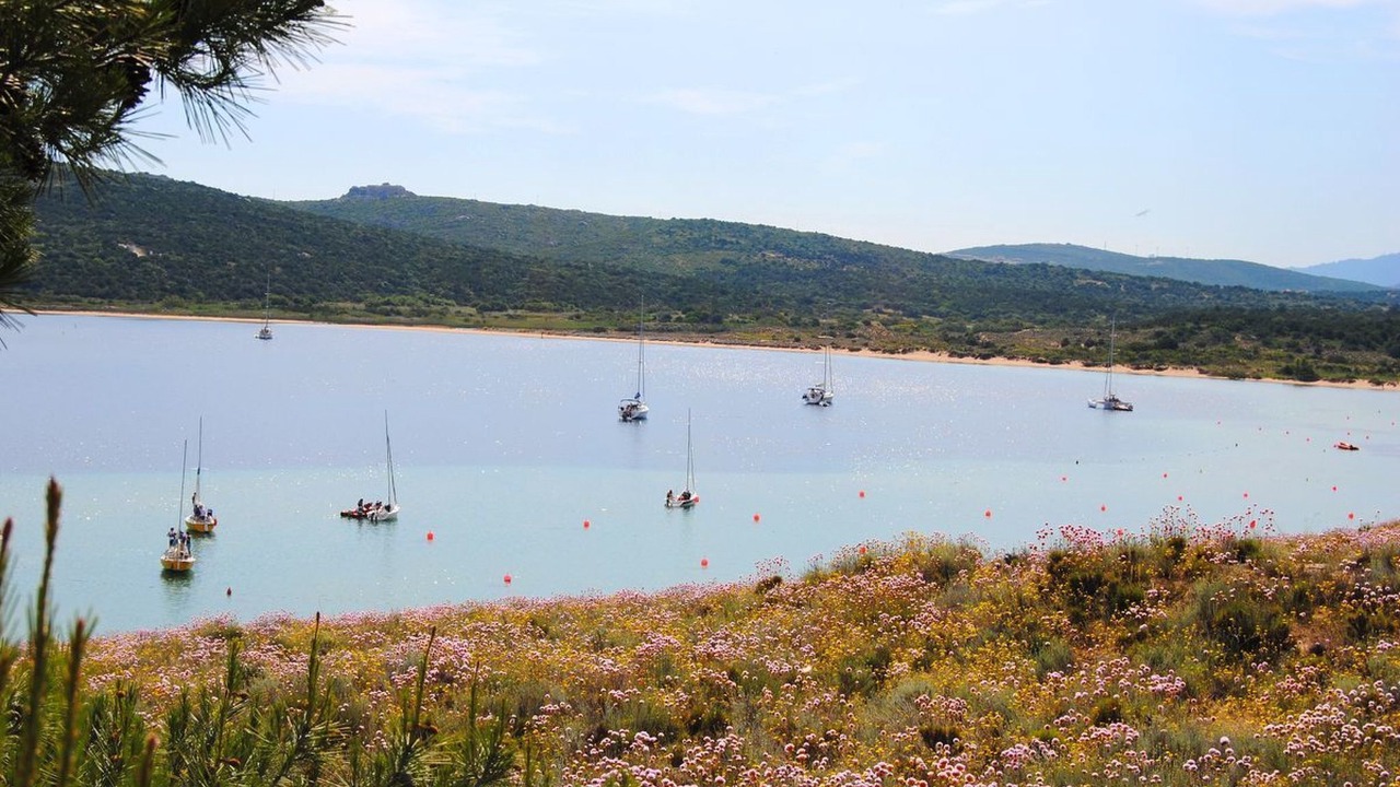 Photo of Others in Porto Pollo