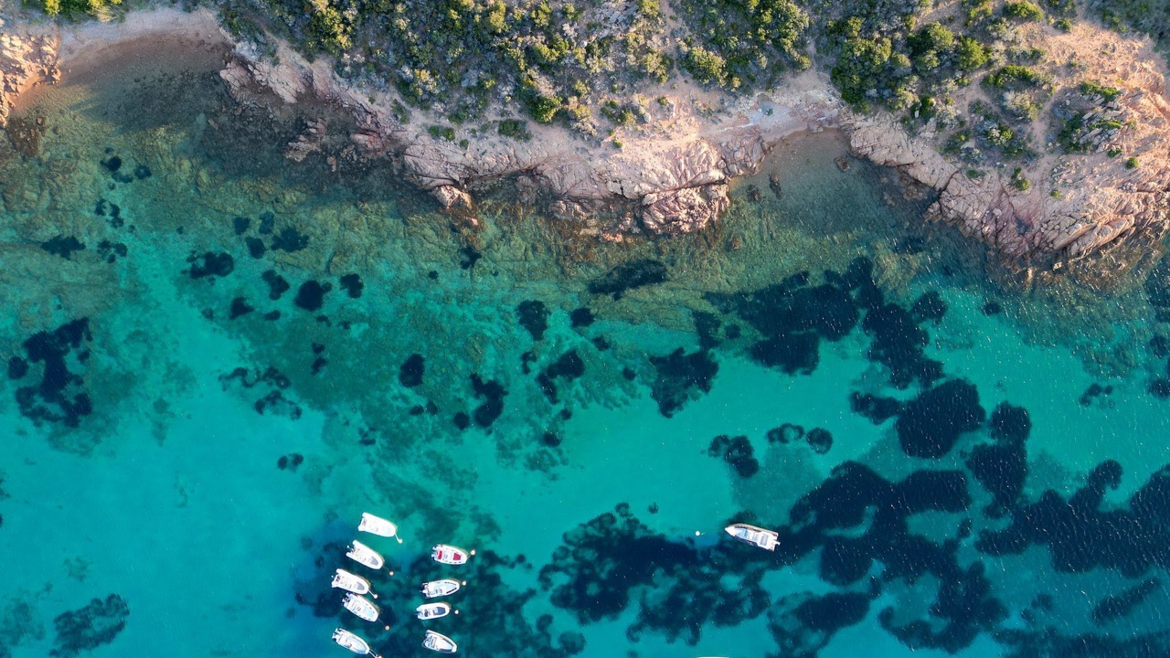 Photo of Others in Capo Coda Cavallo