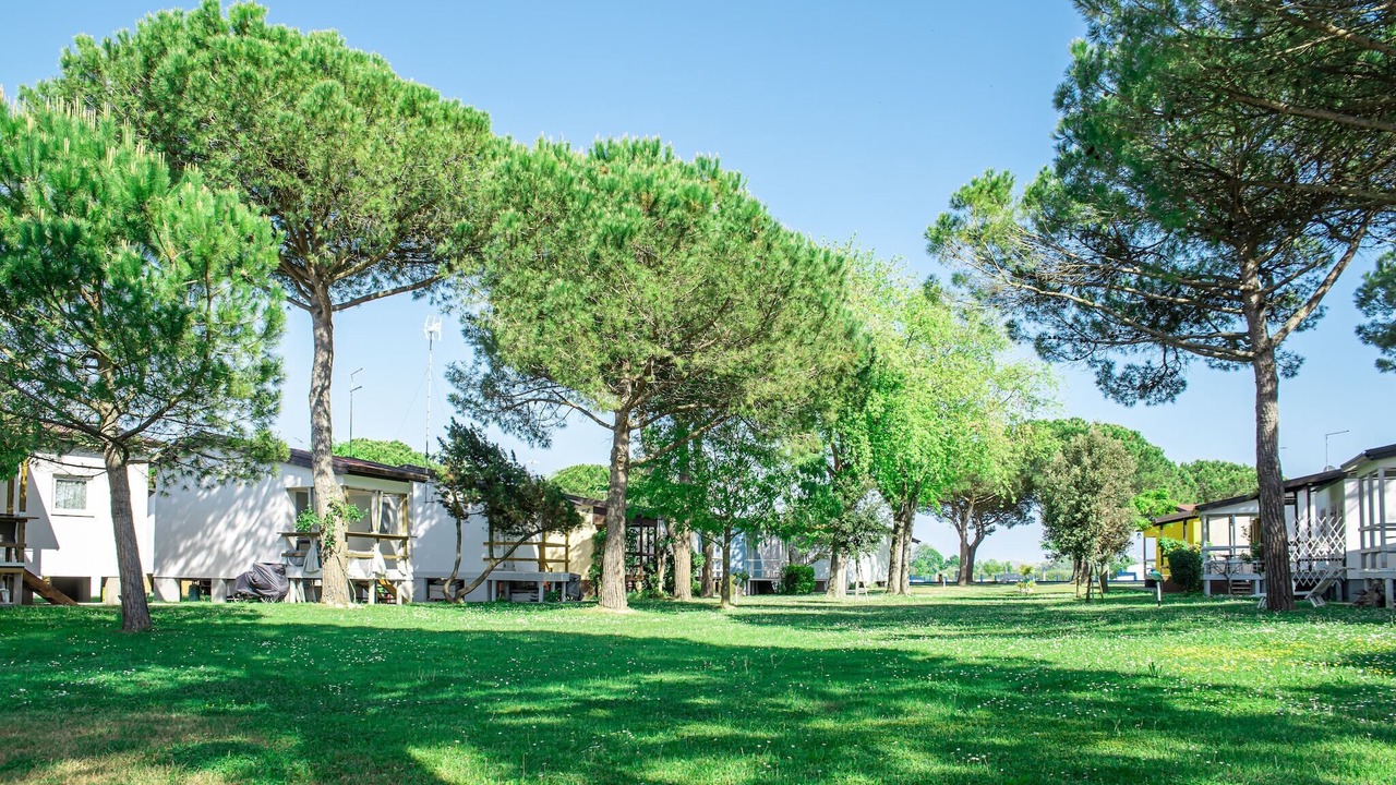 Photo of Outdoor in Cortellazzo