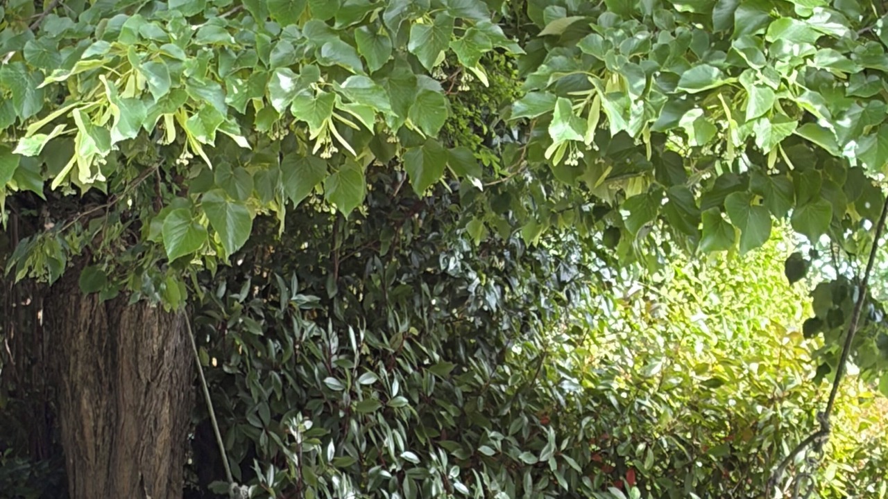 Photo of Outdoor in Castiglione del Lago