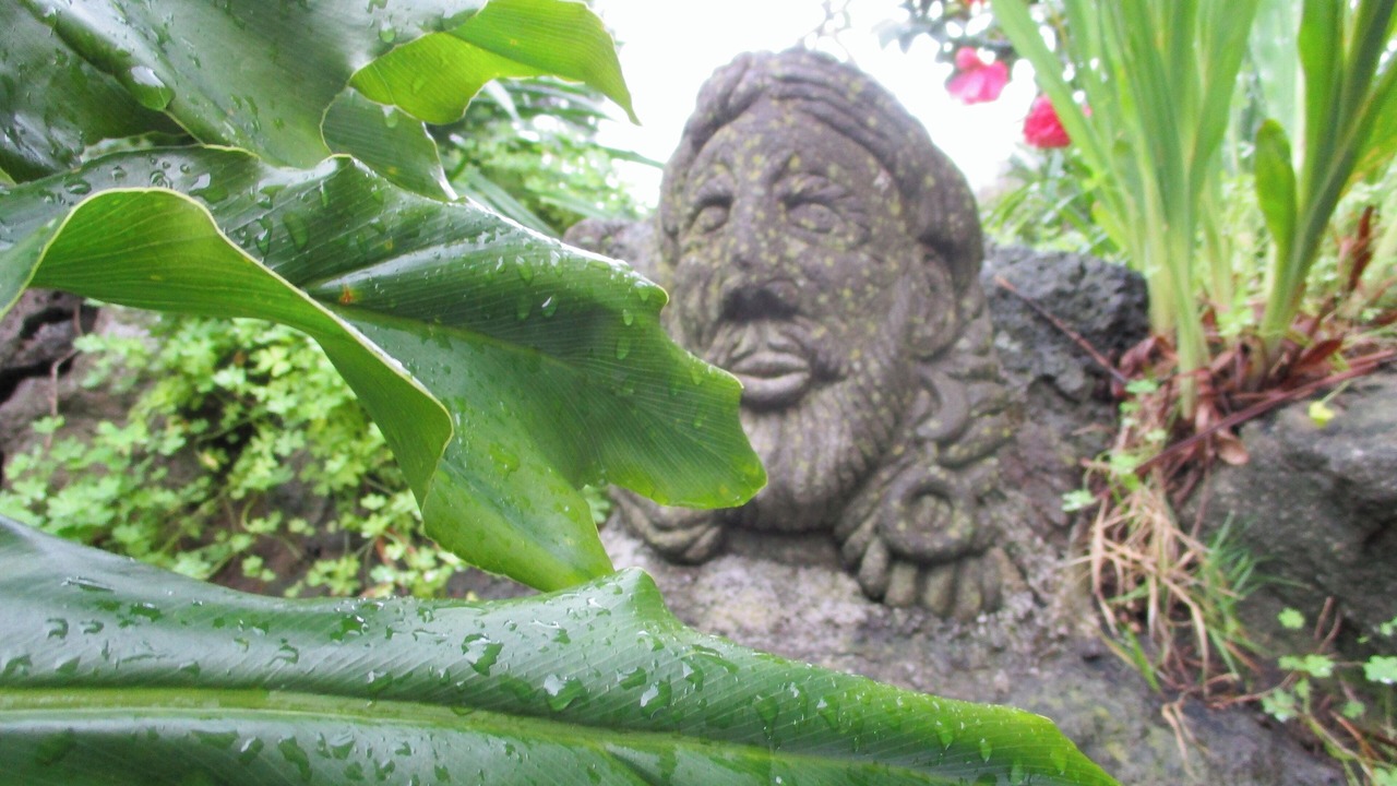Photo of Outdoor in Mitogio