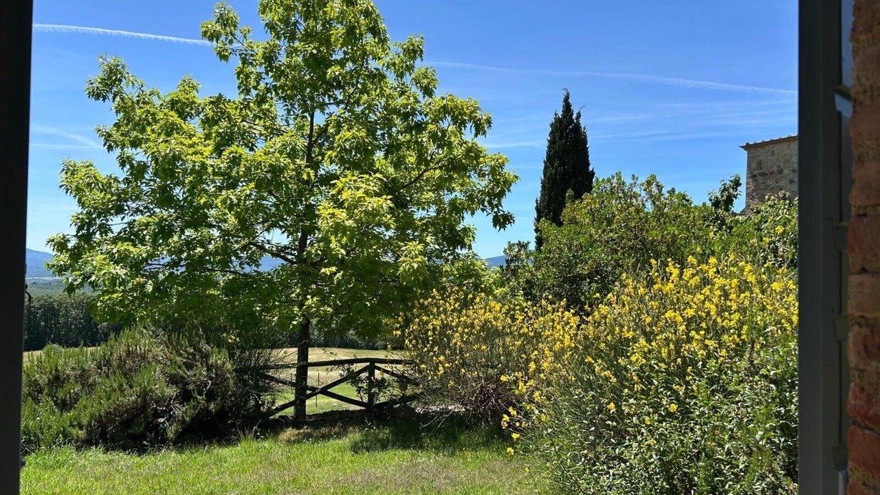 Photo of Outdoor in Chiusdino