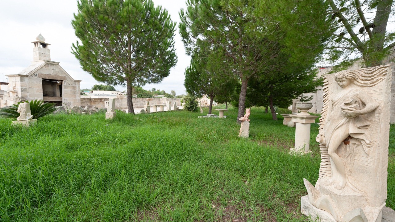 Photo of Outdoor in Lizzanello