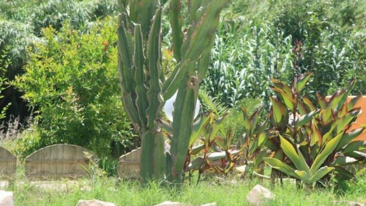 Photo of Outdoor in Gonnesa
