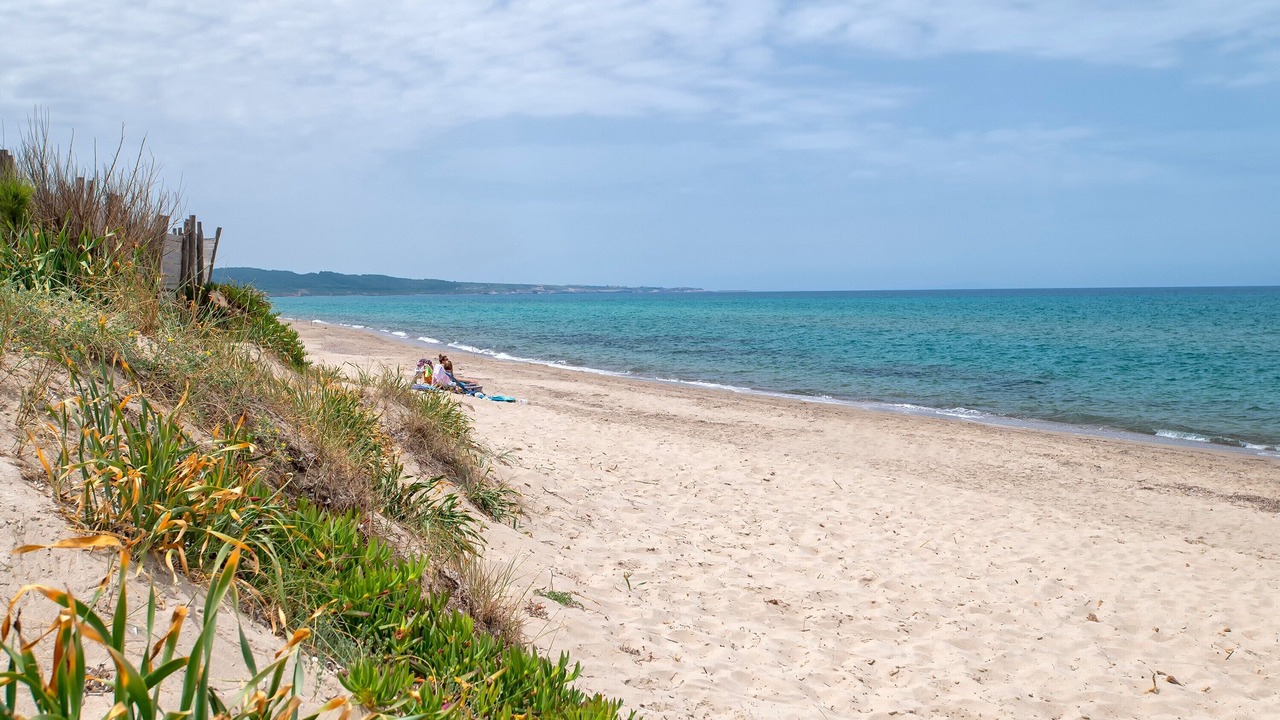 Photo of Others in Platamona