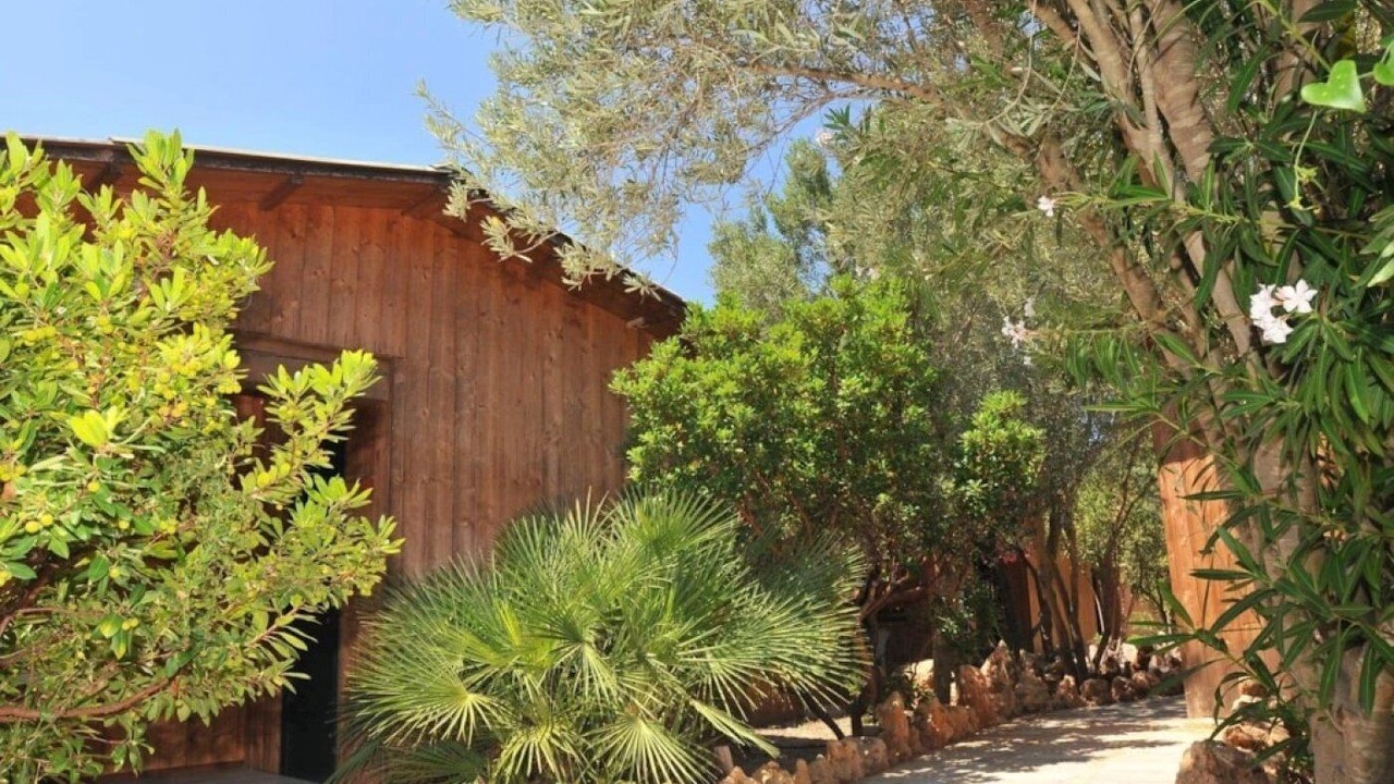 Photo of Outdoor in Alghero