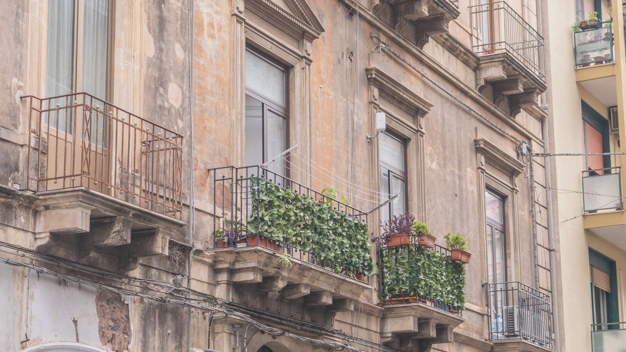 Photo of Outdoor in Old Town