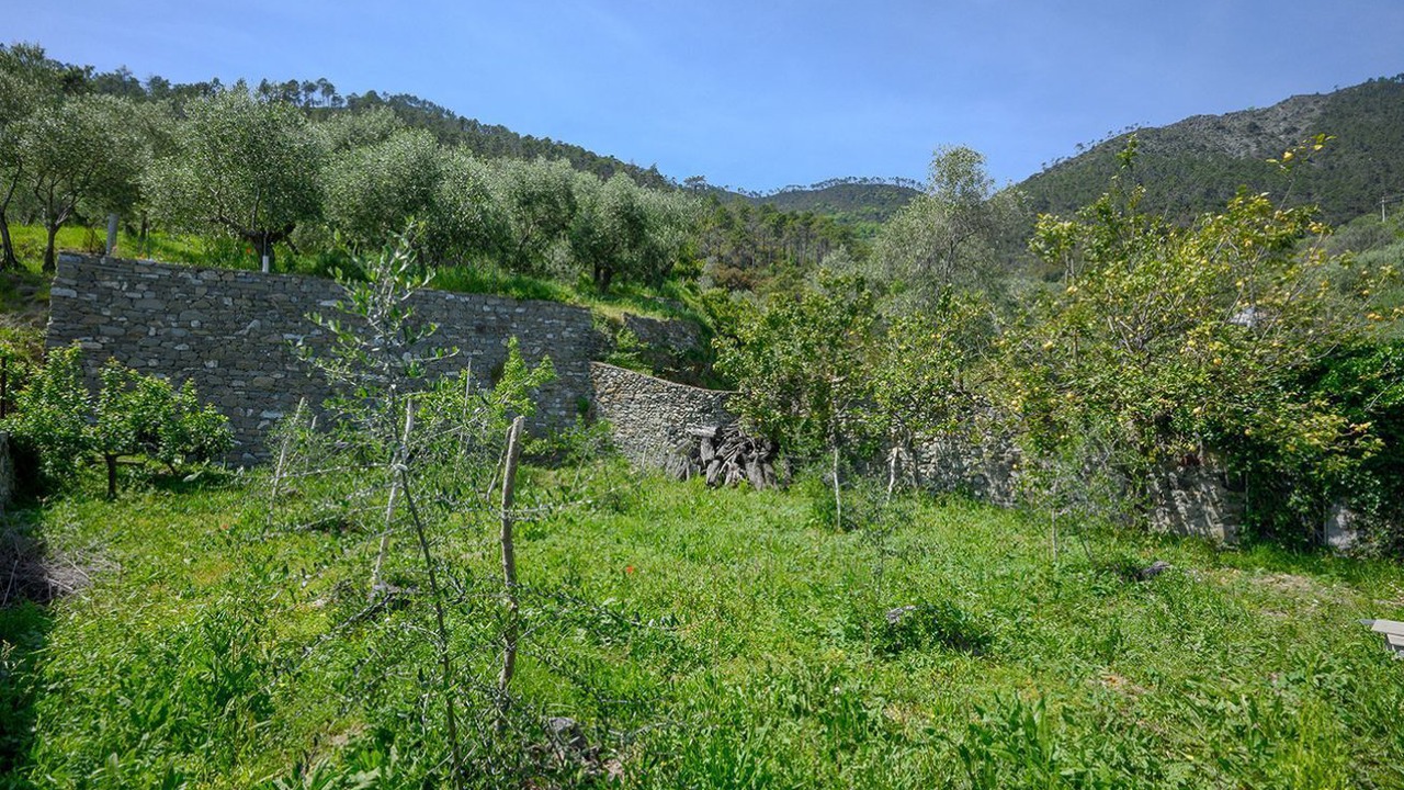 Photo of Others in Cinque Terre