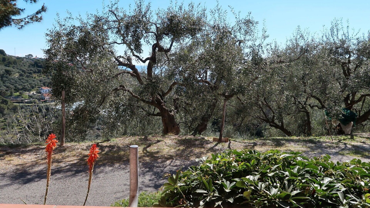 Photo of Patio Balcony in Diano Castello