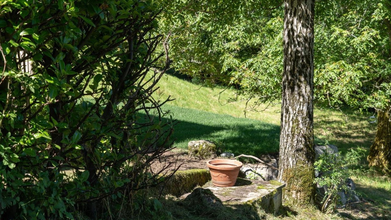 Photo of Outdoor in Occagno