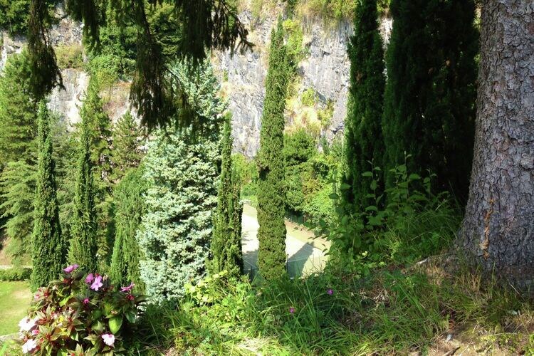 Photo of Others in Faggeto Lario