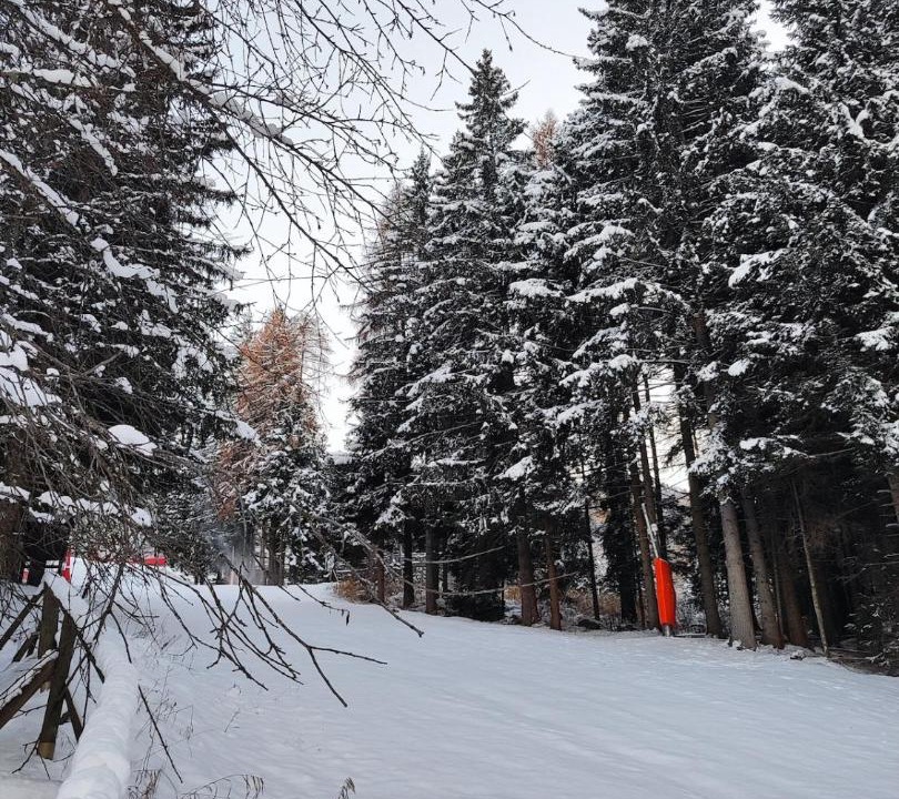 Photo of Others in Marilleva