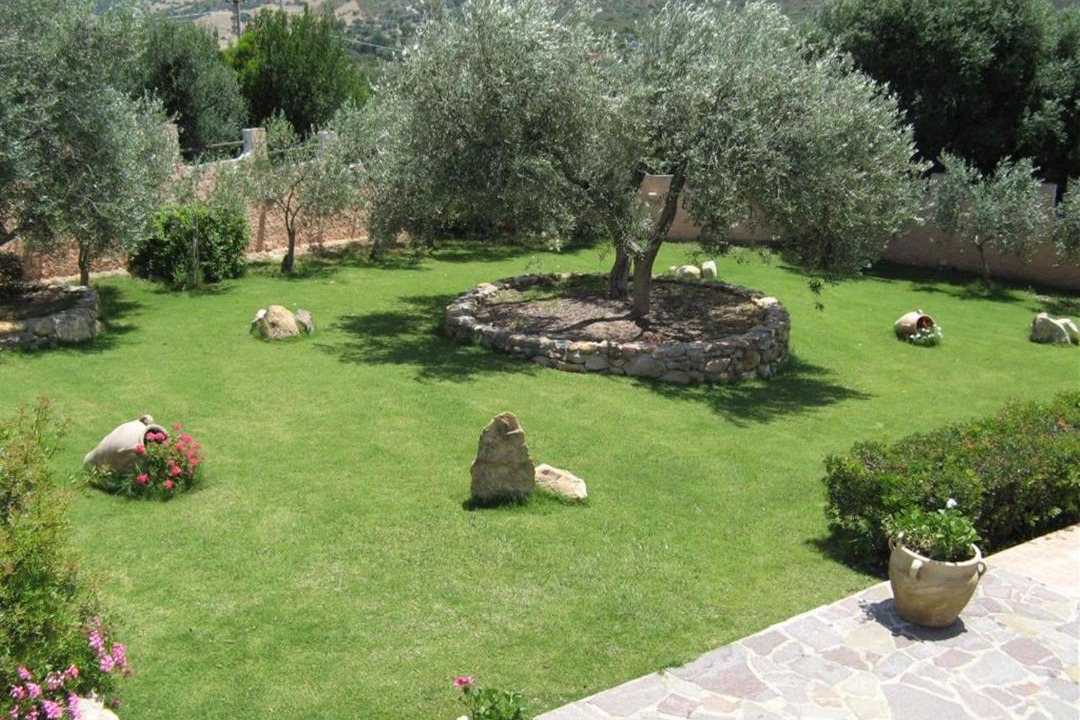 Photo of Others in Cuili Murvoni