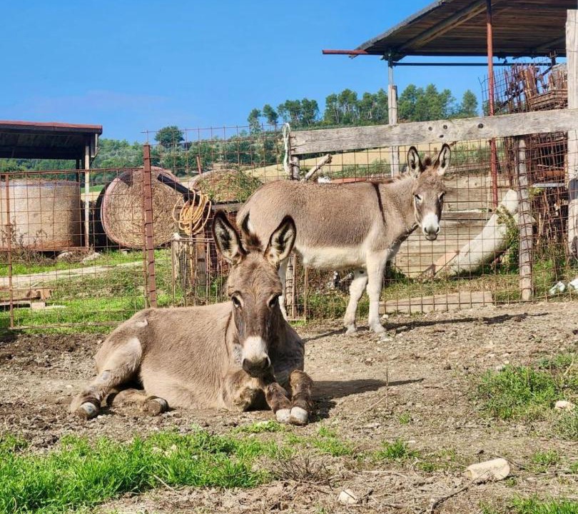 Photo of Others in San Brizio