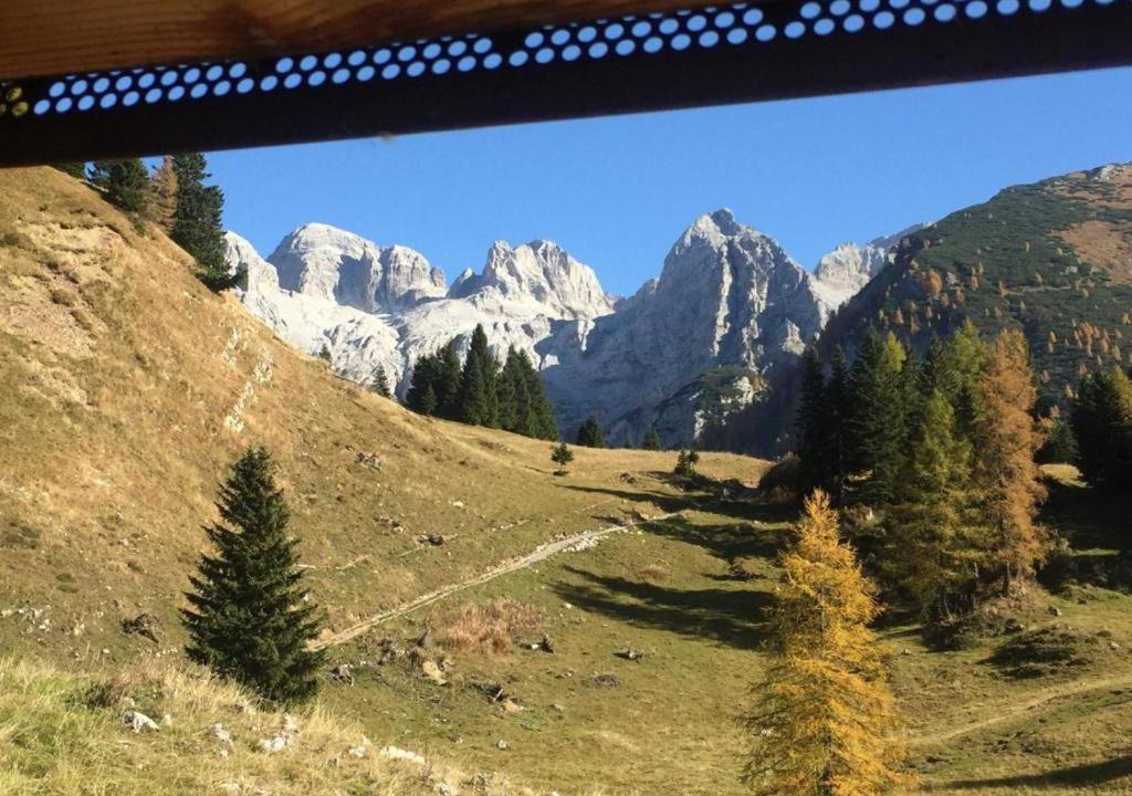 Photo of Others in Ponte Arche
