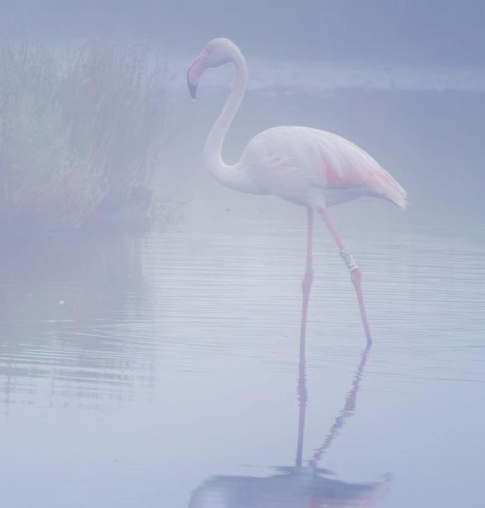 Photo of Others in Terralba