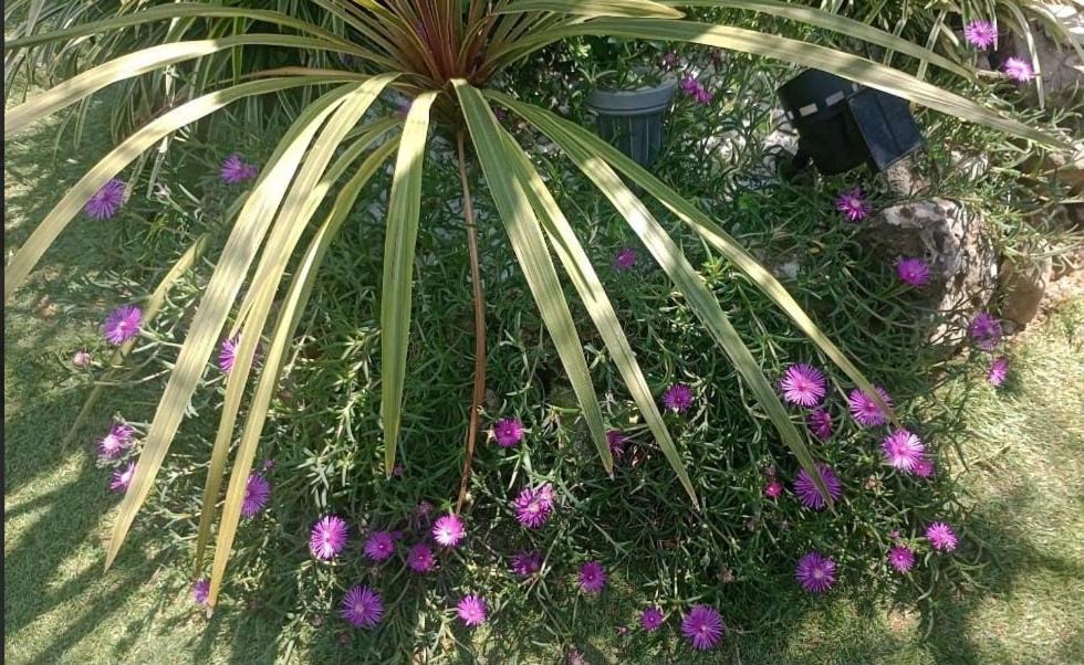 Photo of Outdoor in Cologne