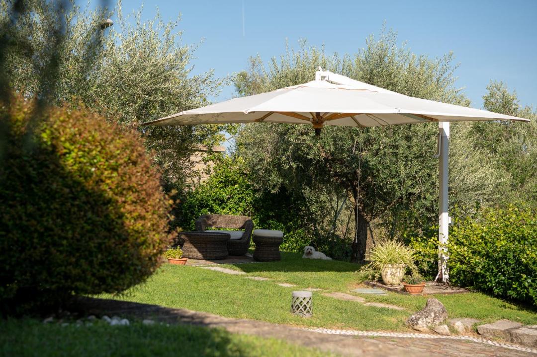 Photo of Others in Lake Bracciano