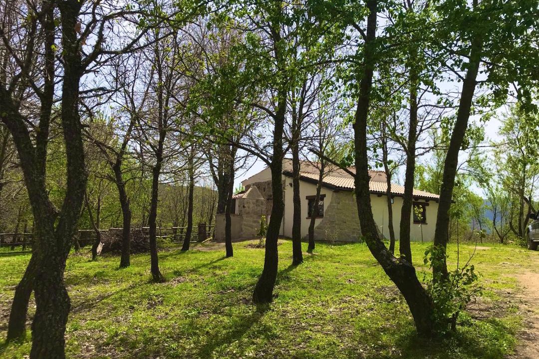 Photo of Others in Fonni