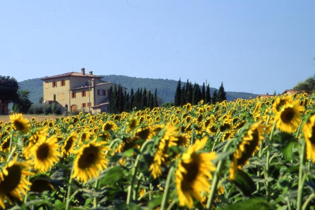 Photo of Others in Chianciano Terme