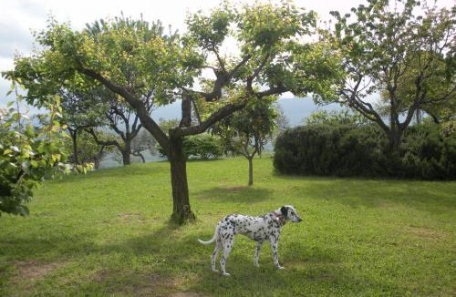 Loreto Aprutino House | Le Stagioni