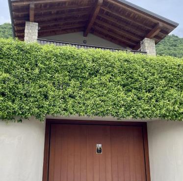 Casa Elisabeth